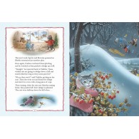 Martha B. Rabbit and those Wicked Rats! (Shirley Barber)