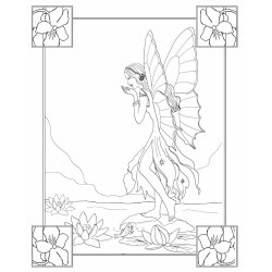 Shirley Barber's Colourama