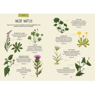 The Great Outdoor Activity Journal